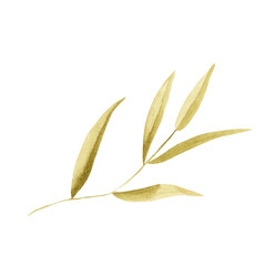 green leaves isolated on transparent background