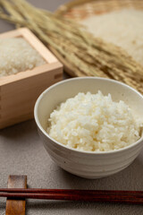お米と炊きたてのごはん（白米）
