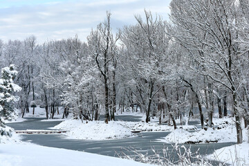 Winter forest in the snow with a frozen river.