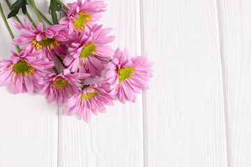 Pink daisy flowers on white wooden background