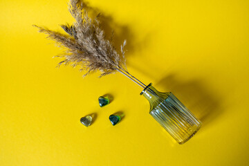 Glass vase with dry twigs of fluffy reed on yellow background. Still life. Glass hearts. Decor