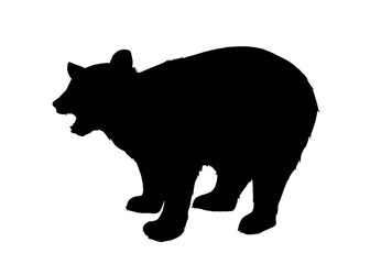 Silhouette of a bear isolated on white 