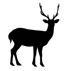 Silhouette of standing male deer isolated 