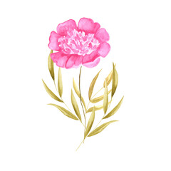 pink flower isolated postcard decor for invitation wreath mother's day wedding birthday spring