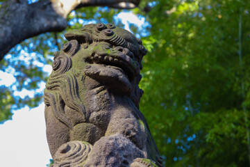 A statue of guardian dog at Japanese Shrine