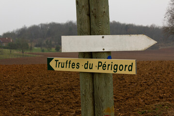 Signposting the way to grow truffles in PÃ©rigord, France