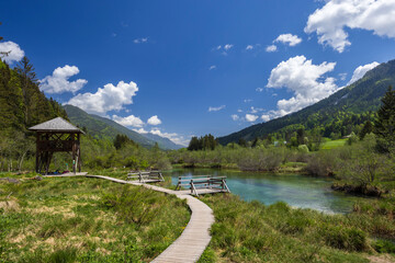 Spring landscape in Zelenci, Slovenia