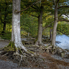 Derwentwater