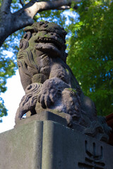 Fototapeta premium A statue of guardian dog at Japanese Shrine