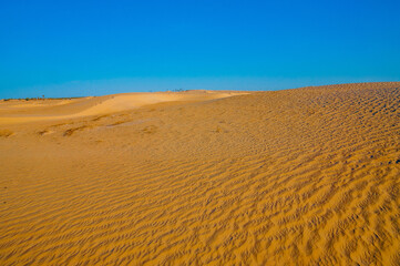 Beautiful sand dunes in the Sahara desert in Tunisia