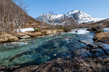 Fototapeta na wymiar river on the mountain in spring