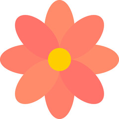 Pink flower isolated on white background