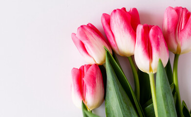 Pink tulip flowers bouquet on white background. Flat lay, top view. Selective focus. Shallow depth of field