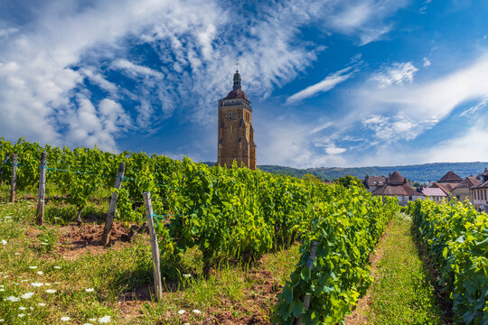 Vineyards with Arbois church, Department Jura, Franche-Comte, France