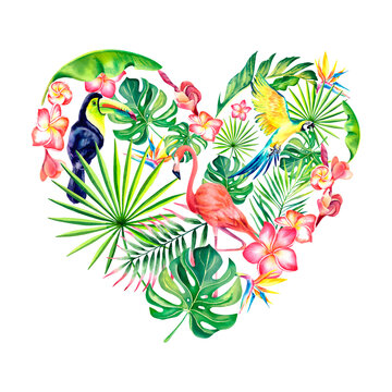 The heart of the tropics. The palm branch. Toucan. Plumeria. Flamingos. Watercolor illustration. Tropical composition.