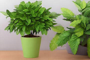 spring green plant for kids 