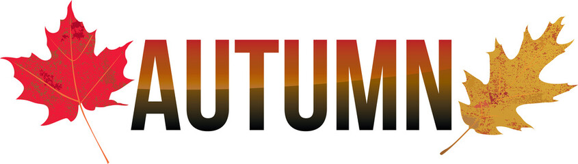 Autumn Word Art Illustration