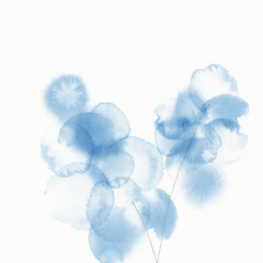 Watercolor blue flowers on a white background. Muscari background