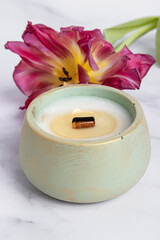 Interior candle in green plaster candlestick and tulip on marble background. Wooden wick closeup
