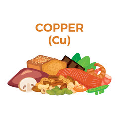 Copper (Cu) in food icon vector. Copper food sources vector illustration isolated on a white background. Liver offal, meat, seafood, nuts, wholemeal bread vector. Pile of healthy fresh food drawing