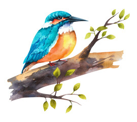 Watercolor drawing of a bird on a tree branch. A beautiful bird sits on a tree branch