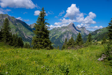 Fototapeta premium On the way to the Körbersee in the Hochtannberg Region, Arlberg, State of Vorarlberg, Austria. View to the Hochkünzelspitze.