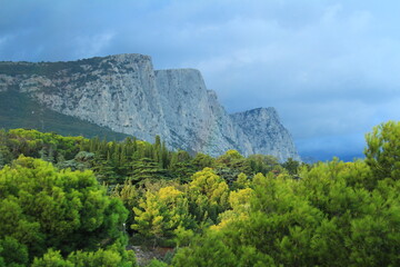 Naklejka premium rainbow in the coniferous park against the background of the mountains after a summer rain with bloated clouds