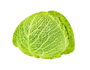 Fototapeta premium Savoy cabbage head, winter green vegetable, isolated on white background with clipping path