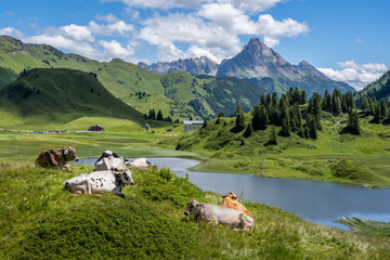 Kalbelesee on the Hochtannberg Region, Arlberg, State of Vorarlberg, Austria, View to the Biberkopf Mountain