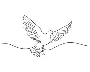 Pigeon line drawing on white background. Outline Vector illustration