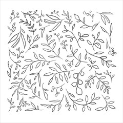 Floral set line drawing on white backgraund. Outline sprigs bundle. Botanical spring leaves clipart. Vector illustration