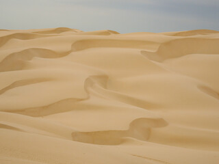 landscape of golden sand dune with blue sky in Ica desert
