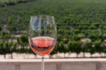 Drinking wine at a winery