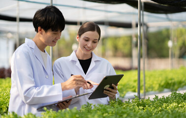 Naklejka premium Hydroponics farm concept, Scientist team testing and collect data from lettuce organic hydroponic. Fresh vegetable at greenhouse farm garden.