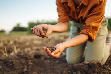 Expert hand of farmer woman  checking soil health before growth a seed of vegetable or plant seedling. Agriculture, gardening or ecology concept.