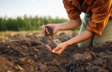 Expert hand of farmer woman  checking soil health before growth a seed of vegetable or plant seedling. Agriculture, gardening or ecology concept.