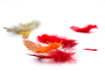 Red feather over white background with real shadows