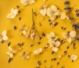 Dry flowers and petals on a yellow background. Floral background. View from above. natural cute background