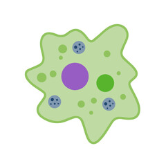 Amoeba cell. Small unicellular animal. Virus and bacteria. Education and science. Flat cartoon illustration
