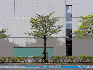 Fototapeta na wymiar 樹木と建物。道路風景。イラスト風の写真。