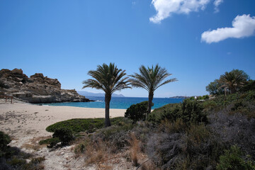Panoramic view of the beautiful dream beach of Sapounohoma in Ios Greece with palm trees