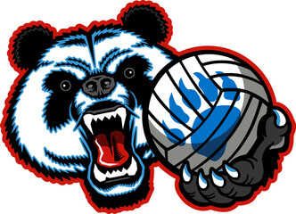 angry panda bear mascot holding volleyball for school, college or league sports