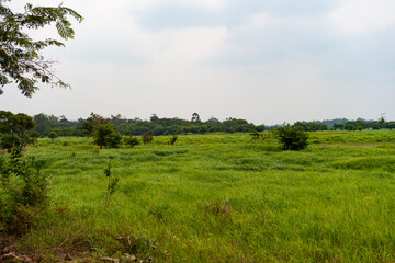 rural landscape of nature. photo of rural landscape look scenery. rural landscape in countryside.