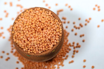 masoor dal closeup picture with white background, red dal