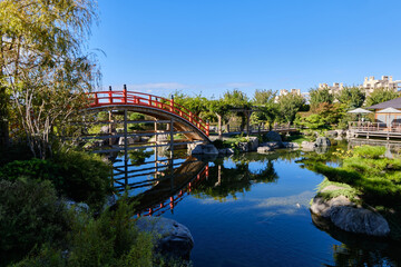 A walk in the park near the Black Sea coast. Crimea, Yalta. Vacation at the recreation center.