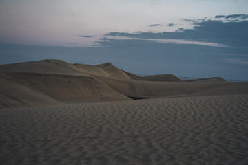 Fototapeta na wymiar Sand dunes in the dessert