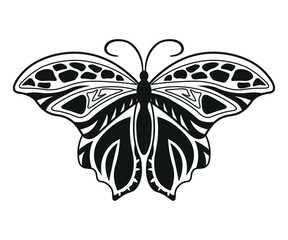 Monochrome illustration of butterflie in sketch style. Hand drawings in art ink style. Black and white graphics.