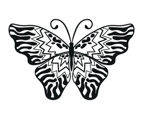 Monochrome illustration of butterflie in sketch style. Hand drawings in art ink style. Black and white graphics.