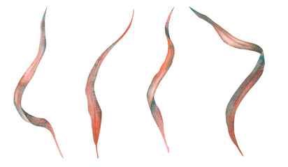Set of algae, underwater plants in red, purple and green, hand-drawn watercolor illustration. Isolated on white background for your design.