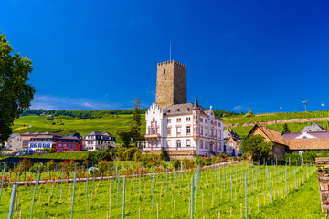 Chateau de Boosenburg Oberburg castle in Ruedesheim am Rhein Rhine, Rudesheim, Rheingau-Taunus-Kreis, Darmstadt, Hessen, Germany
